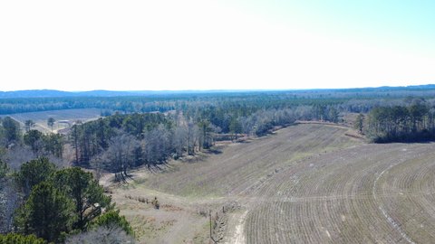 Vacant Land - New Brockton, AL
