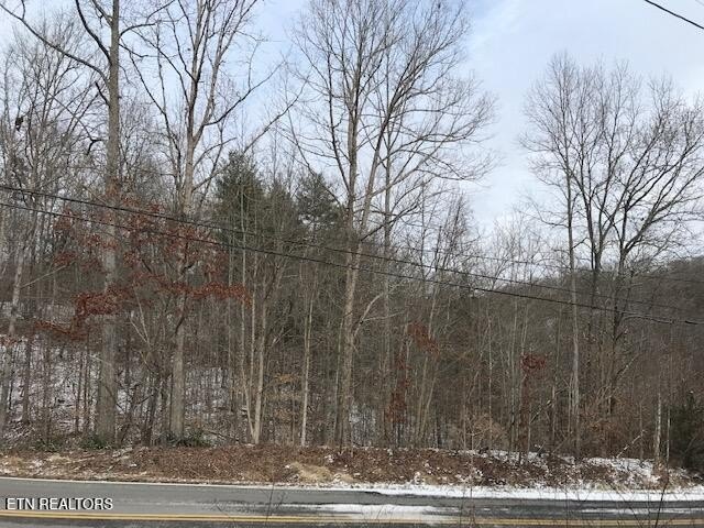 Versatile 35-Acre Wooded Land