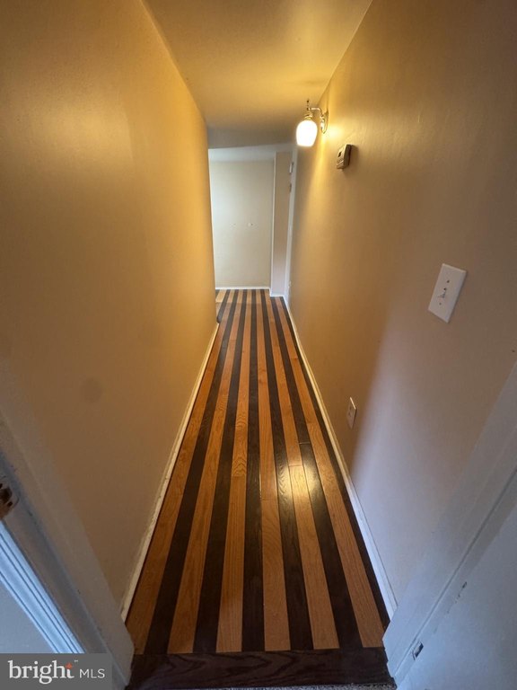 Picture 41