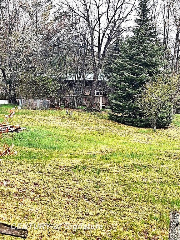 Picture 3