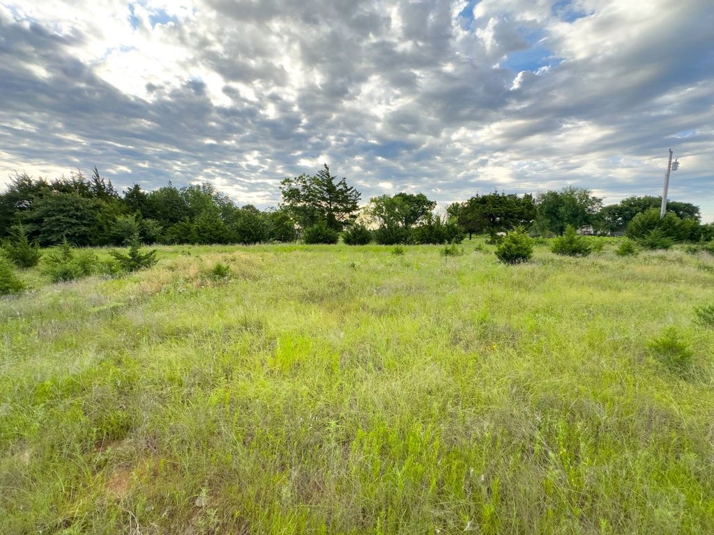 Picture 20