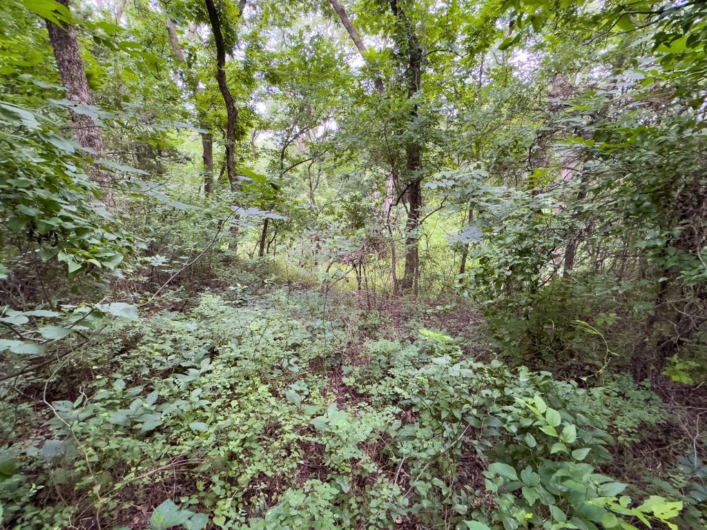 Picture 18