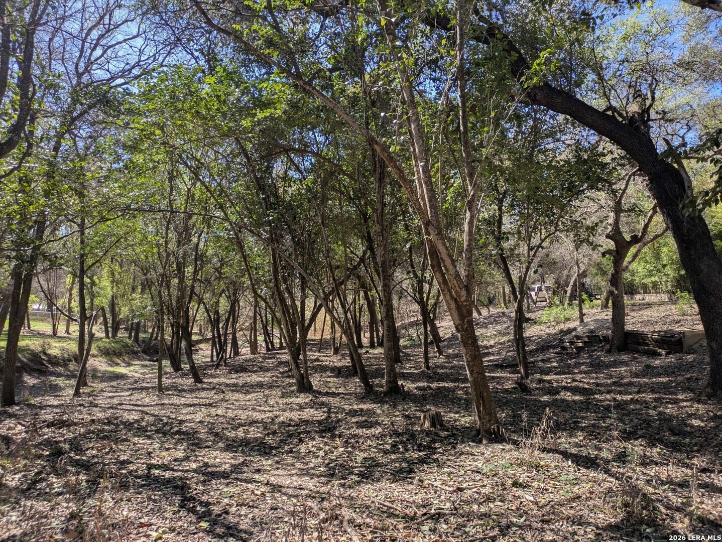 Helotes, TX Woodsy Lot