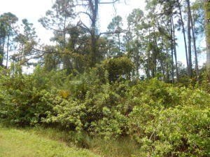 LAND - Lehigh Acres, FL
