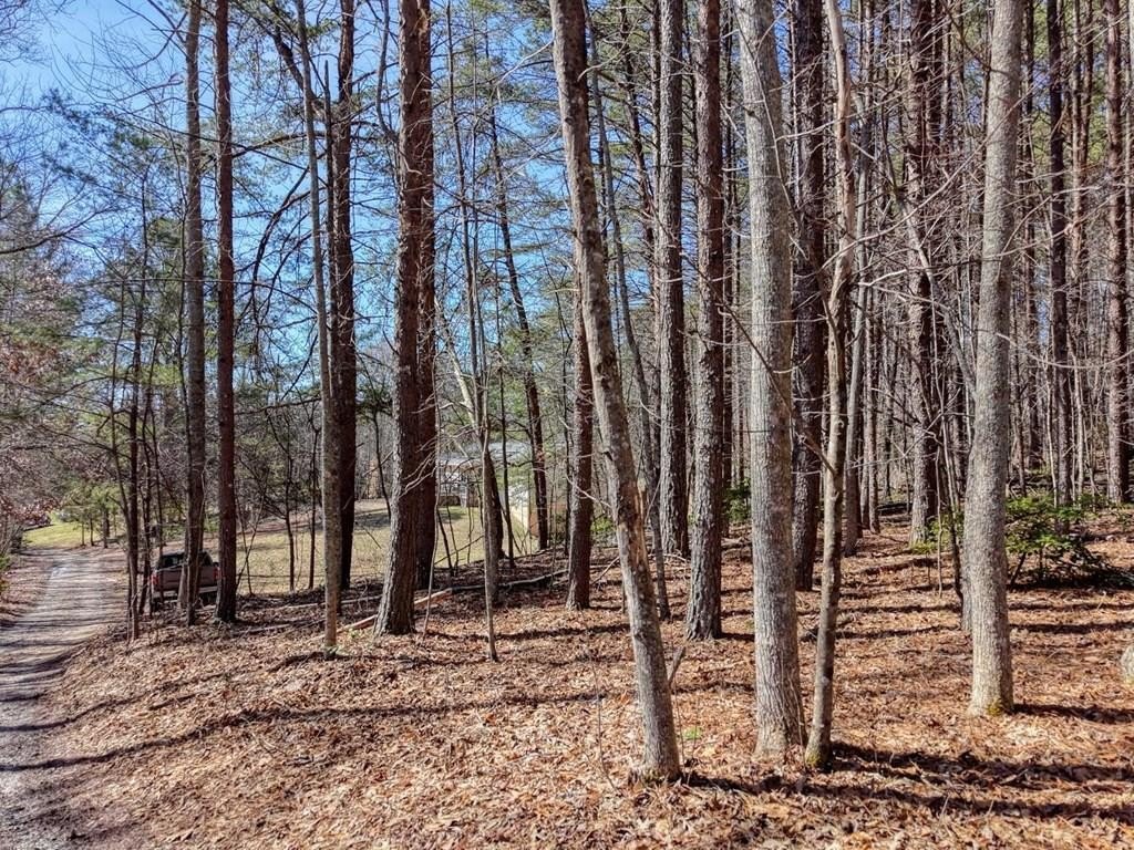 Blairsville Vacant Land Opportunity