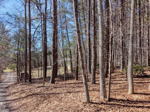 Blairsville Vacant Land Opportunity