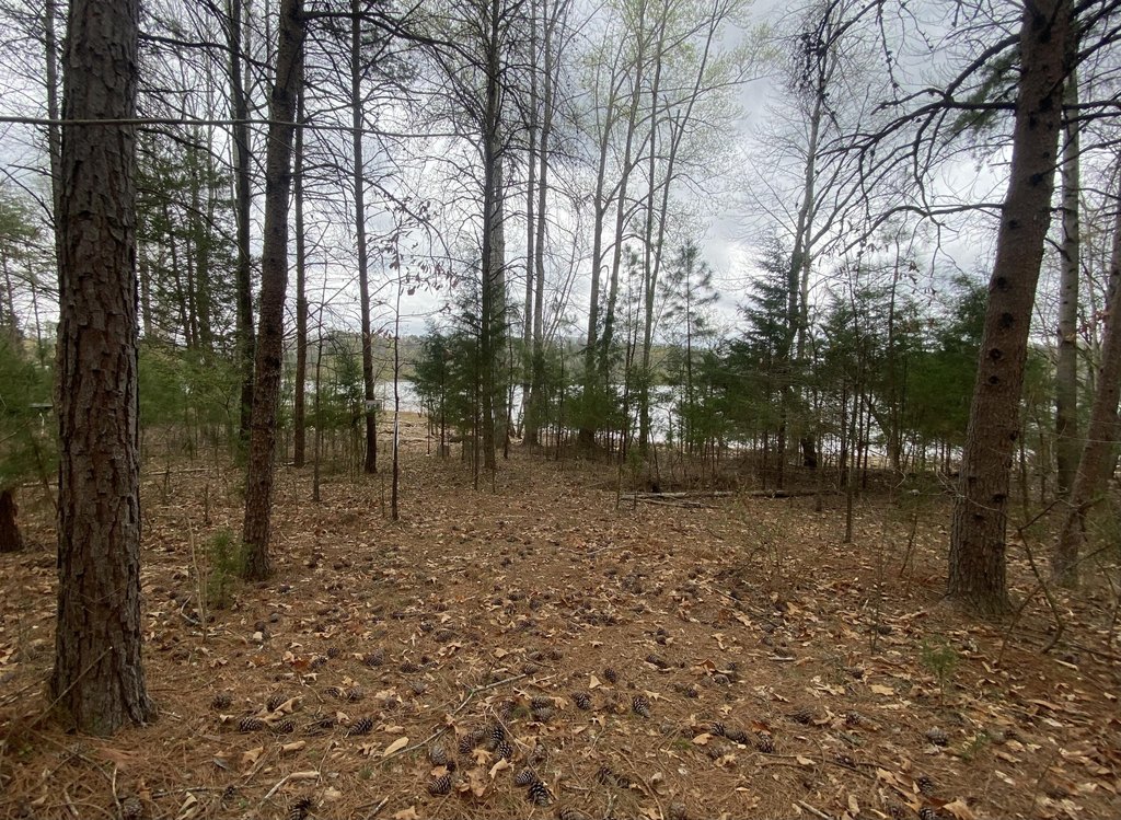 Picture 8