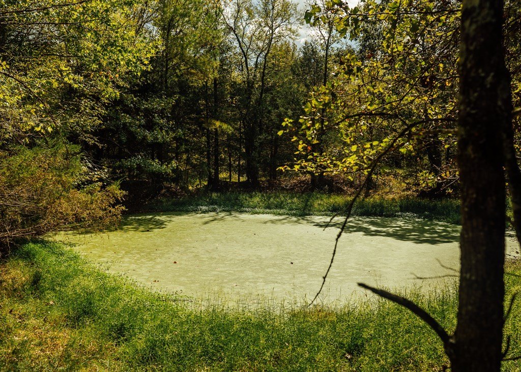 Picture 24
