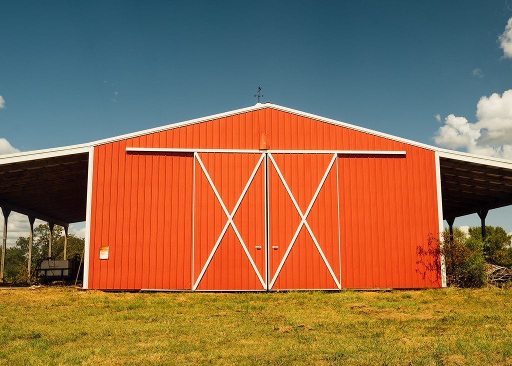 Picture 16