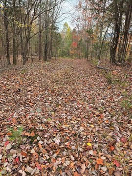 29.69 Acres of Land in Livingston