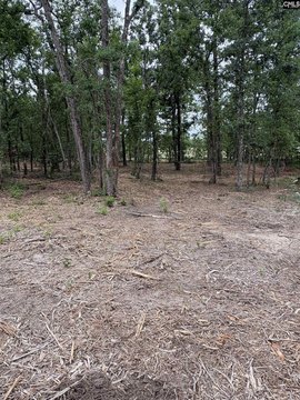 Residential Lot in Wooded Setting