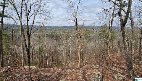 Residential Hillside Land Parcel