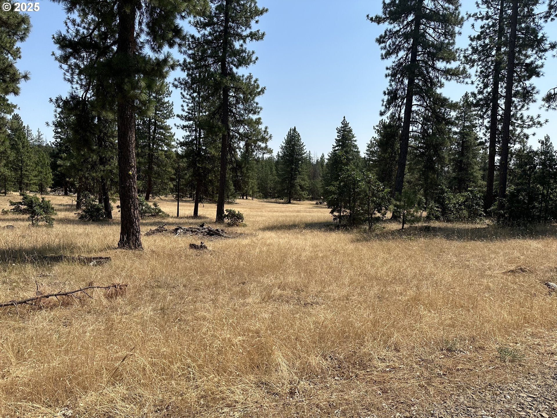 Secluded 80-Acre Land Parcel