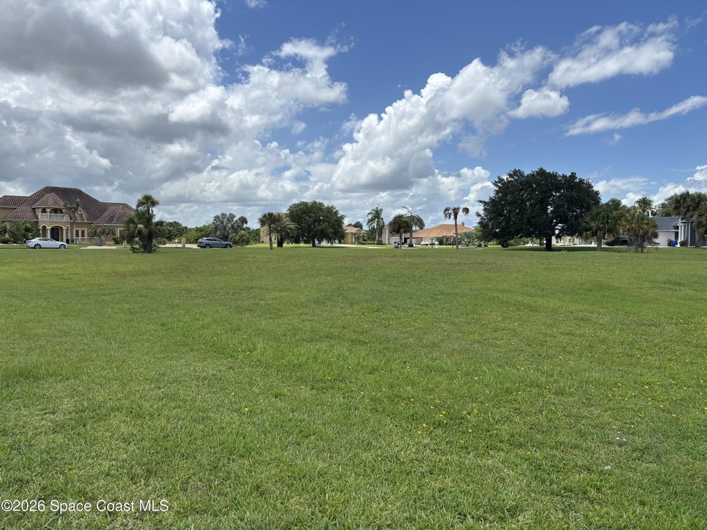 Picture 20