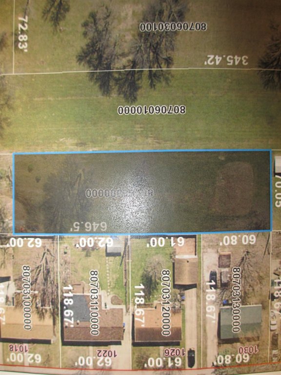 Picture 5