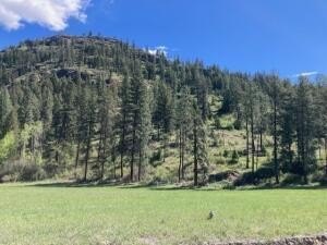 Land, KETTLE FALLS, WA