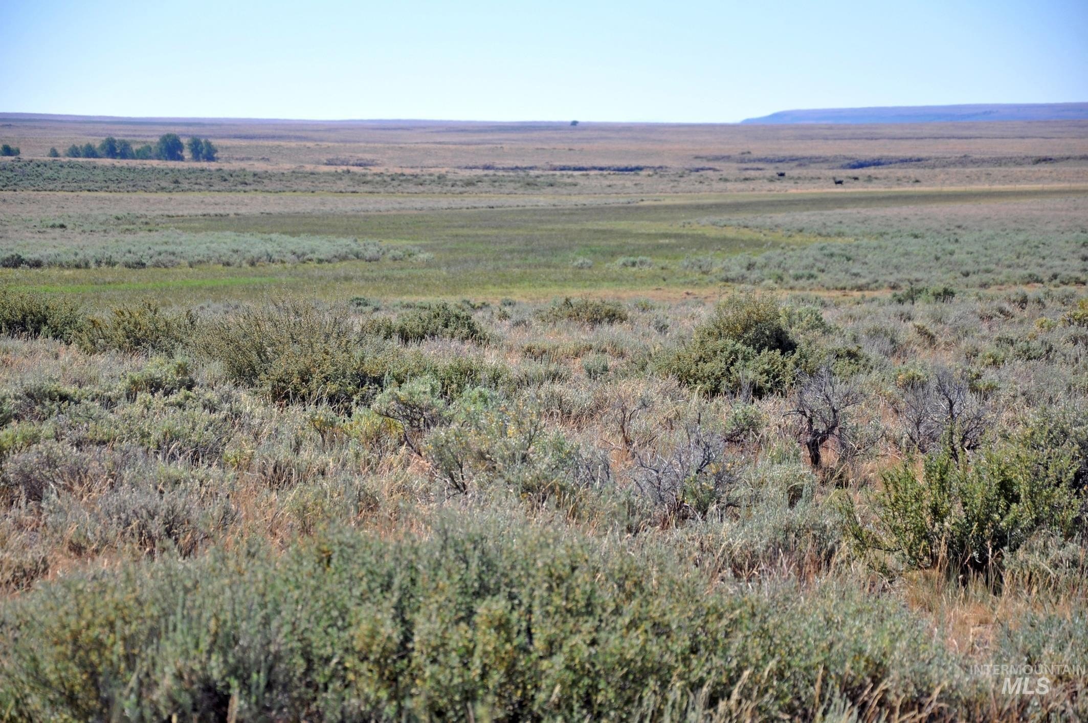 Owyhee County Acreage For Sale
