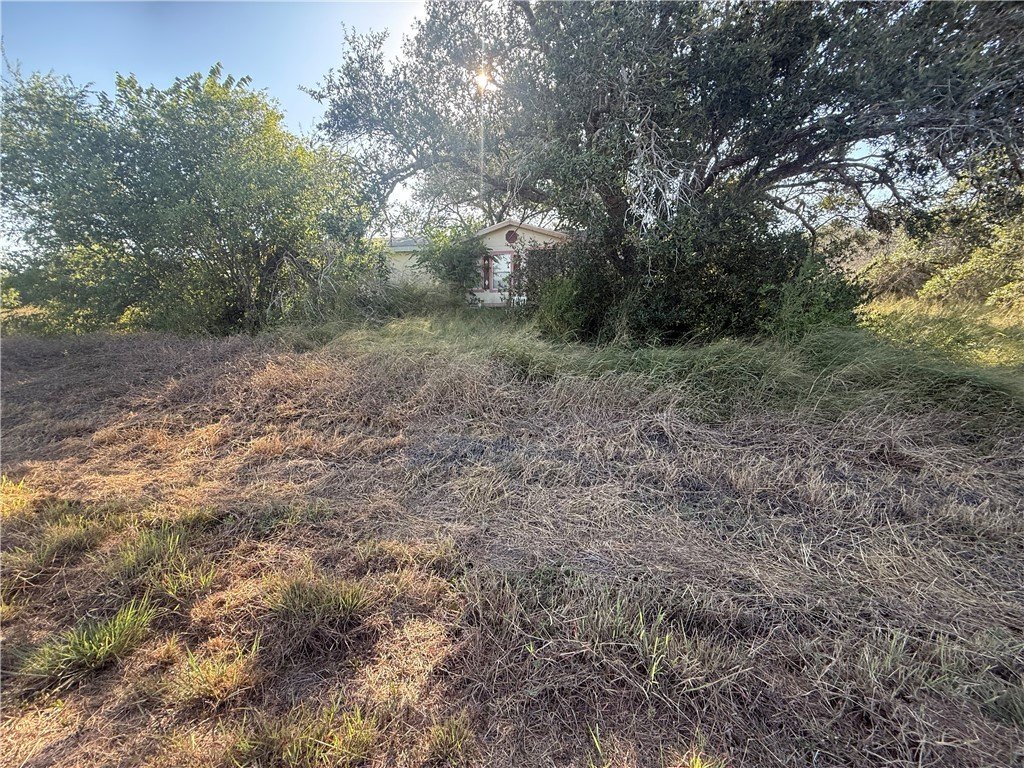Picture 8
