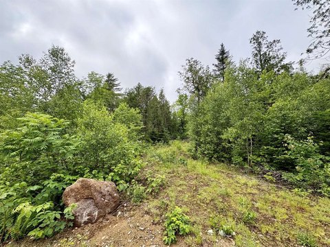 Developable Residential Lot