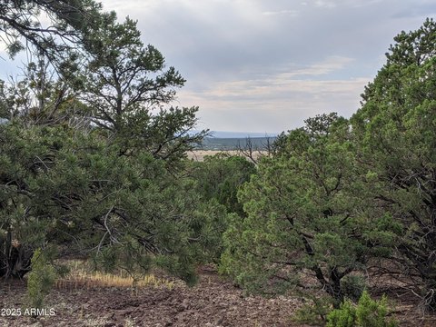 Vernon, AZ Land Opportunity