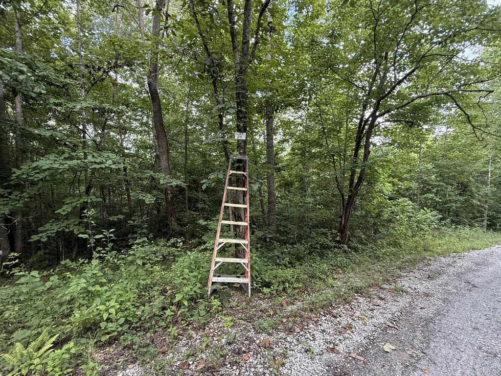 Picture 2