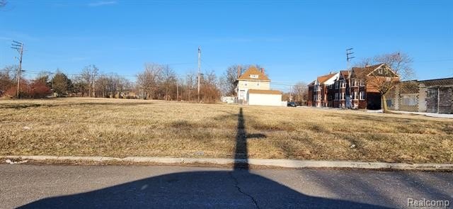 Picture 5