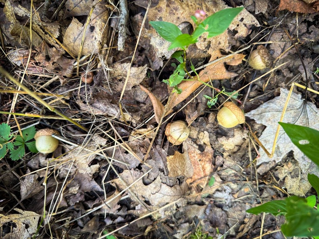 Picture 23
