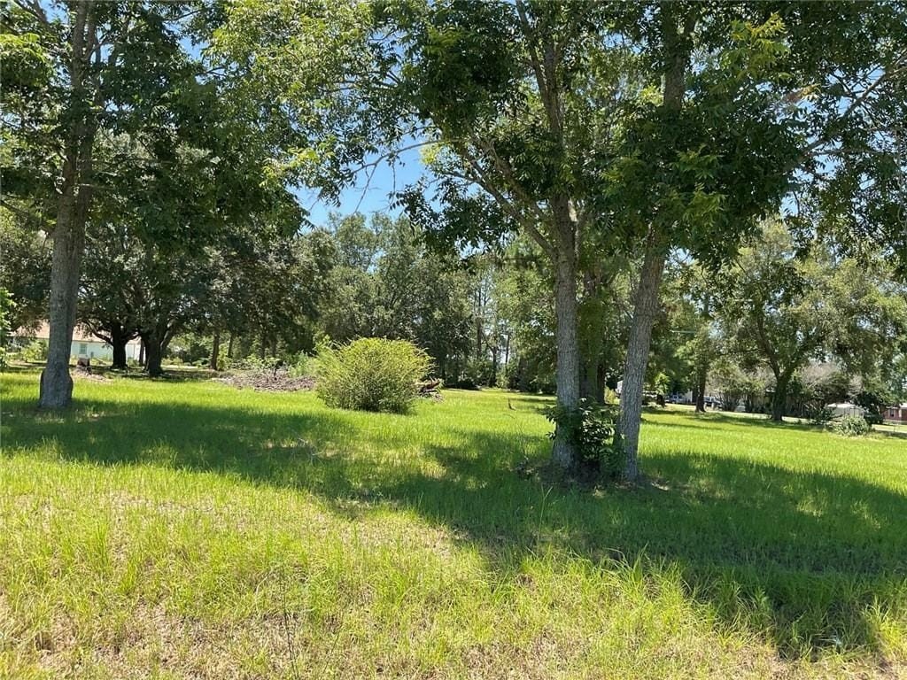 Picture 8