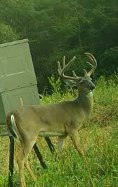 Picture 36