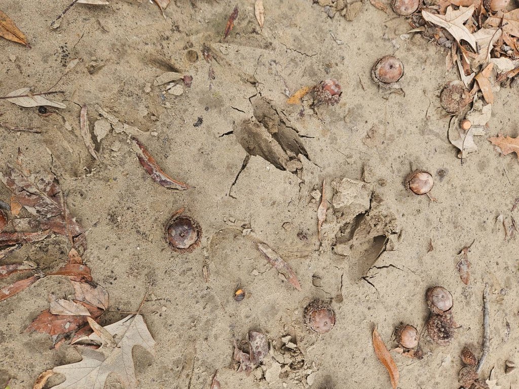 Picture 22