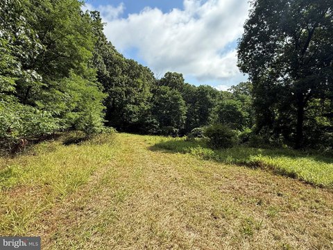 Land, MOHNTON, PA