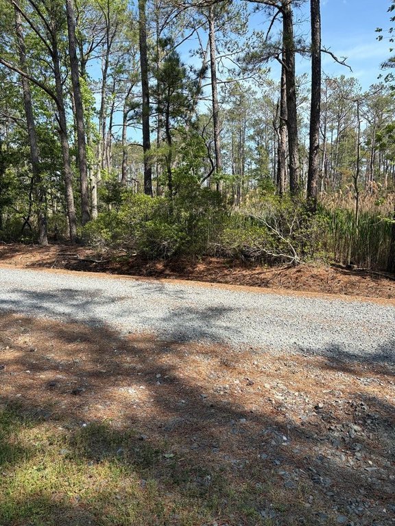 Picture 21