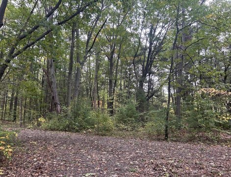 LAND - Coloma, MI