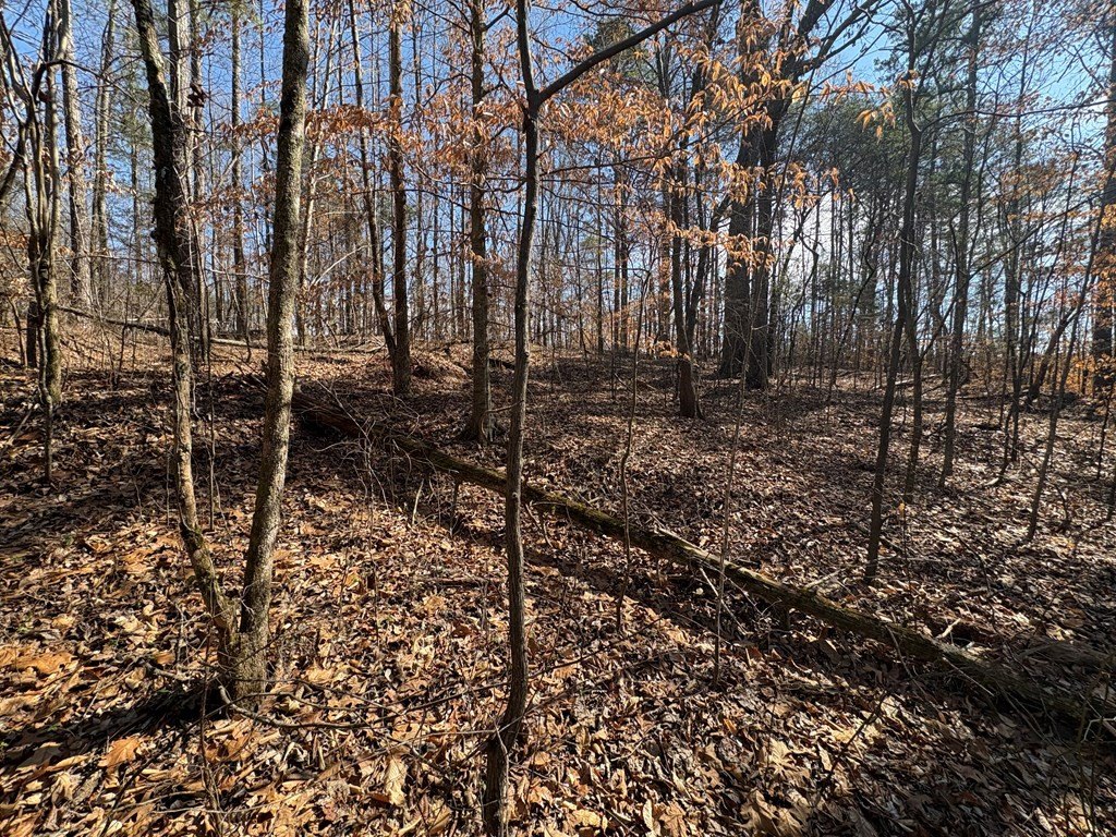 Picture 3