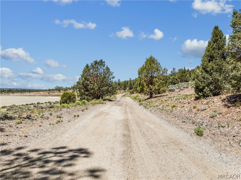 Picture 20