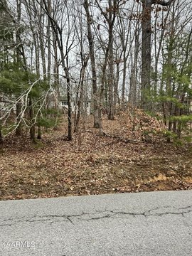 Crossville, TN Wooded Lot