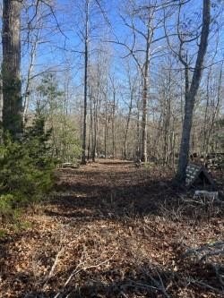 Land on Genesis Road