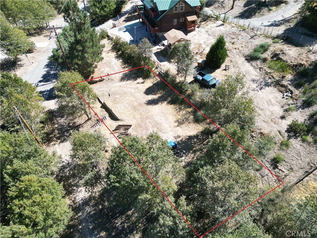 Picture 6