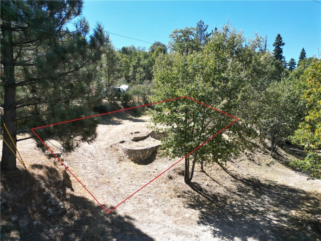 Picture 15