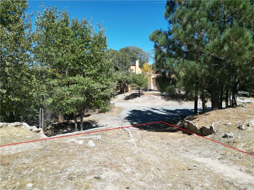 Picture 16