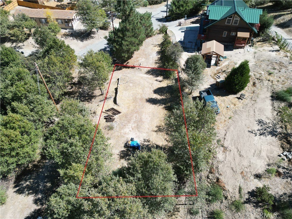 Picture 5