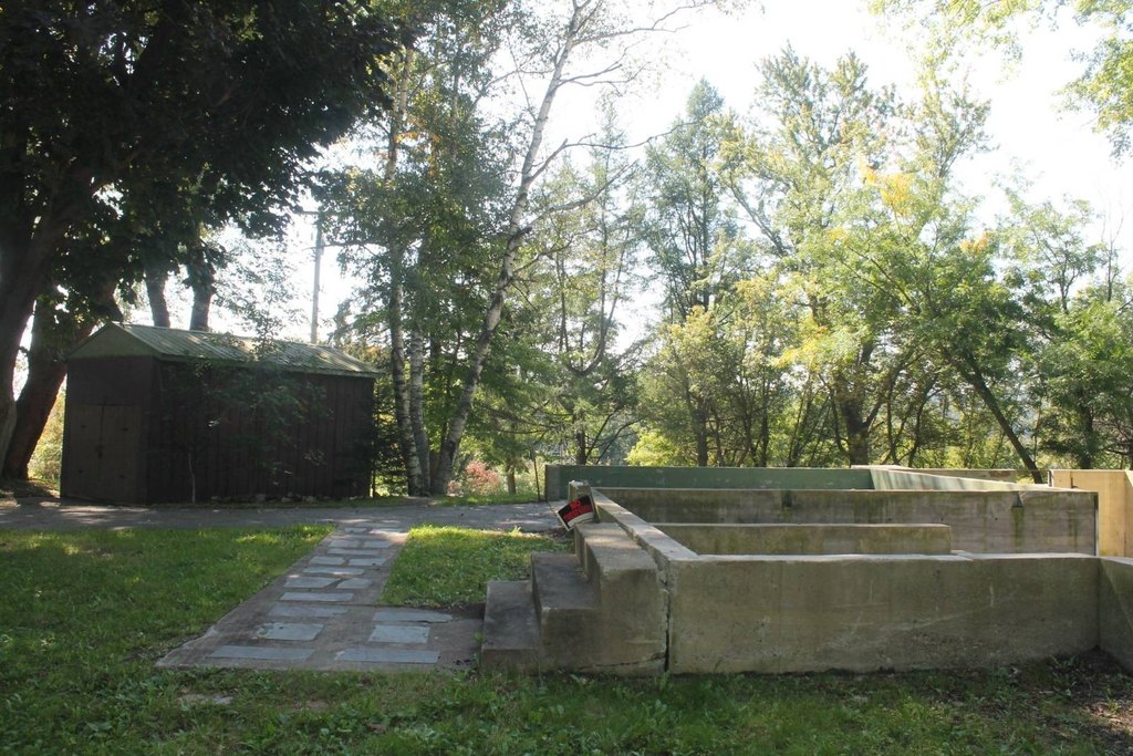 Picture 9