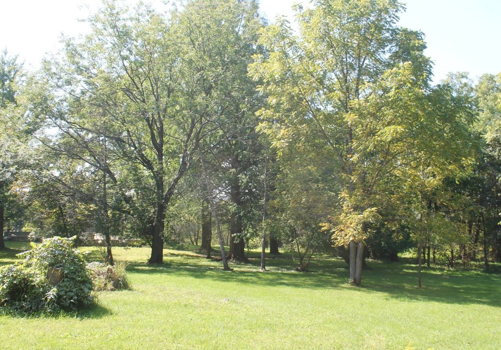 Picture 24