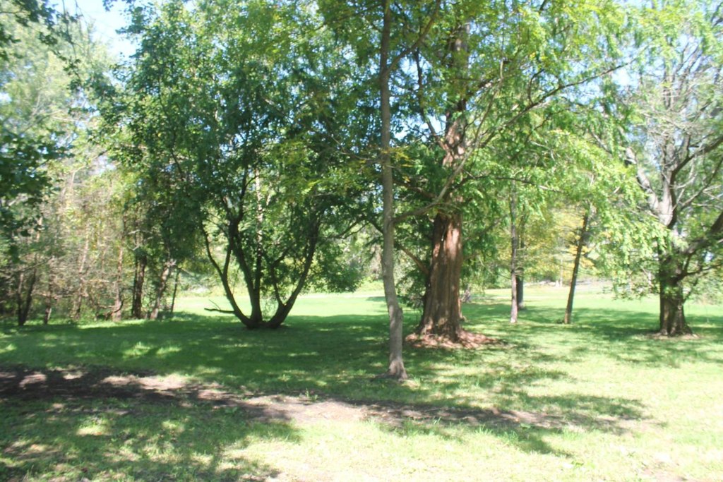 Picture 21