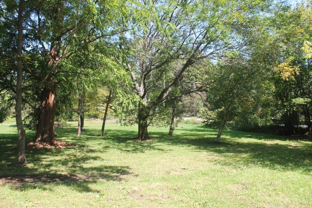Picture 22