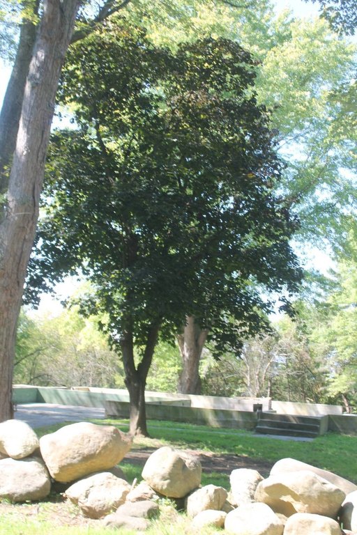 Picture 16