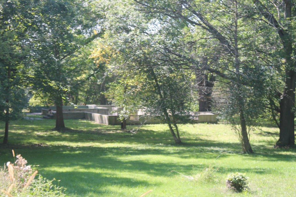 Picture 3