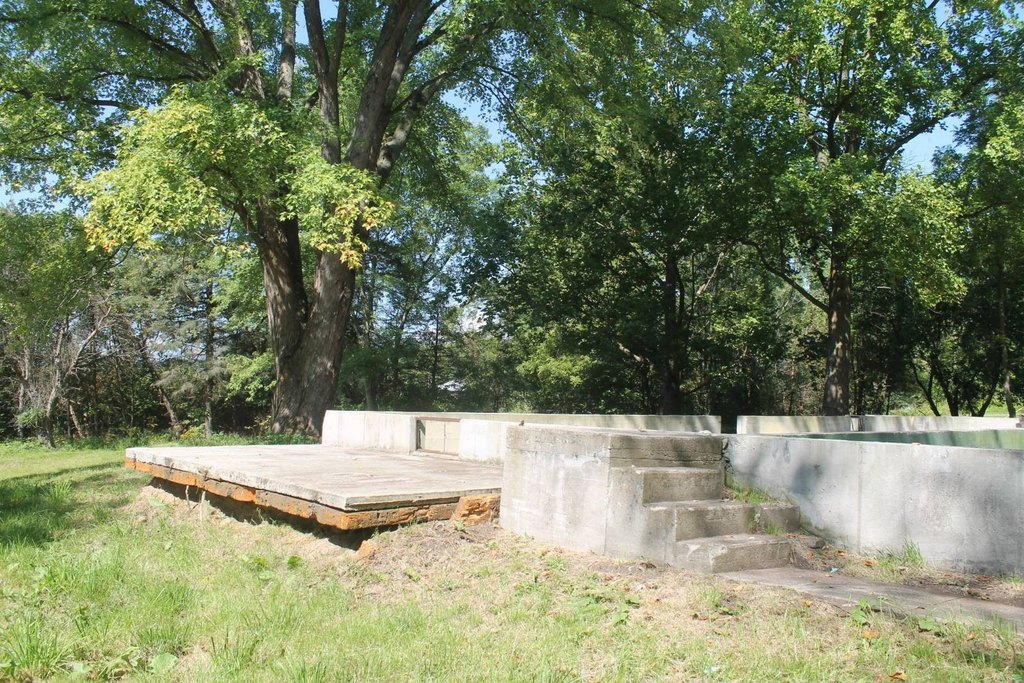 Picture 10