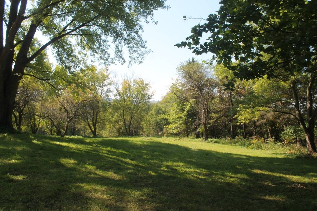 Picture 18