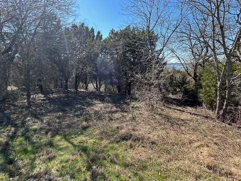 Whitney, TX Land with View